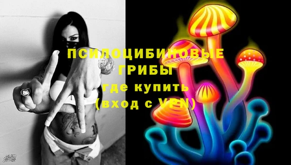 мет Бородино