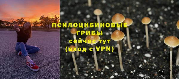мет Бородино