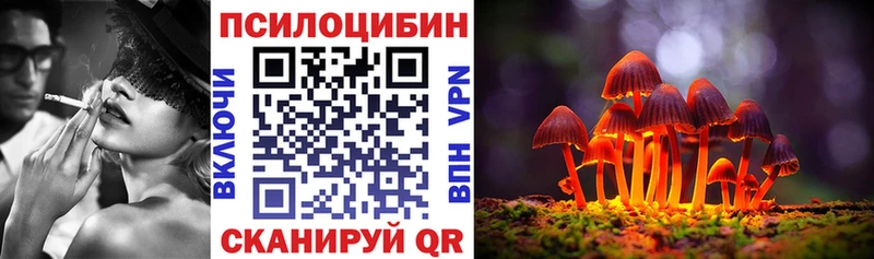 Купить где  Верхний Уфалей  Псилоцибиновые грибы Cubensis 